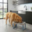 LILLE Elevated Feeder-132780213