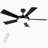 51.96'' Ceiling Fan with LED Lights-539602262