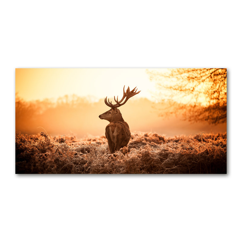 Deer Sunrise - No Frame Print, Canvas, 60cm H x120cm W
