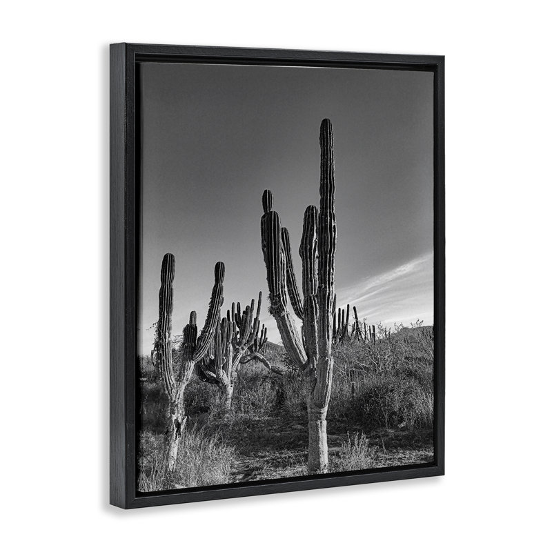 Cadre flottant Cactus Field & Vast Sky, design par Norm Stelfox, Cadre flottant noir de jais, H 21 po x l 17 po