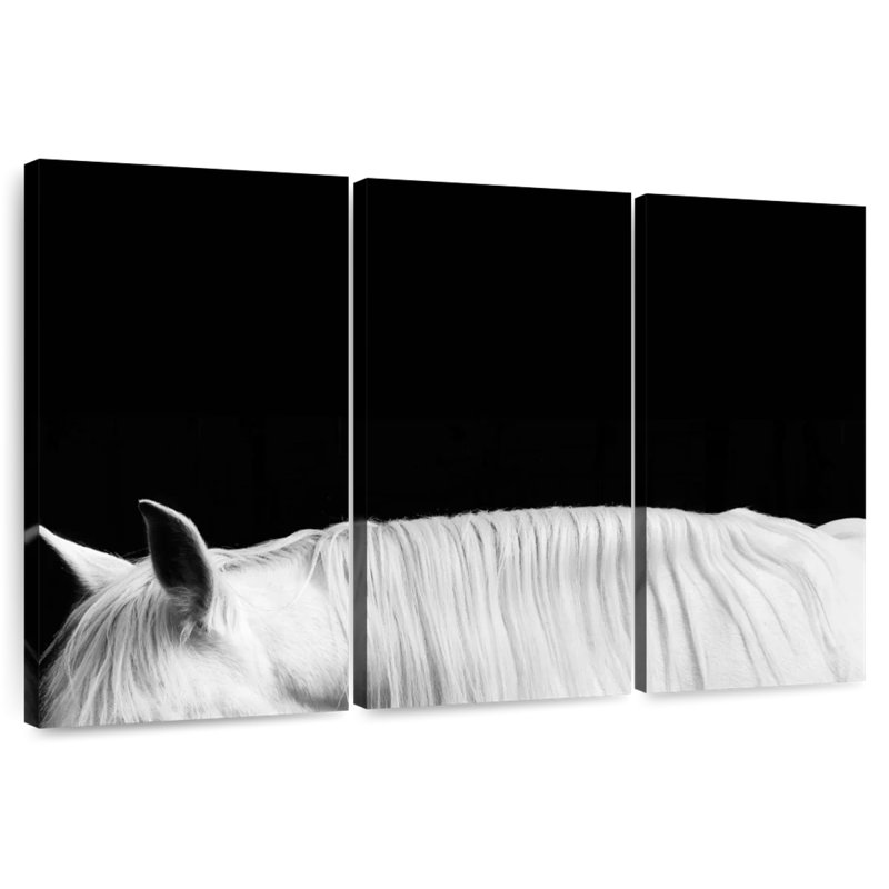 Brampt blanc sur noir II, H 36 po x l 57 po