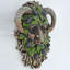 Farner Tree Face