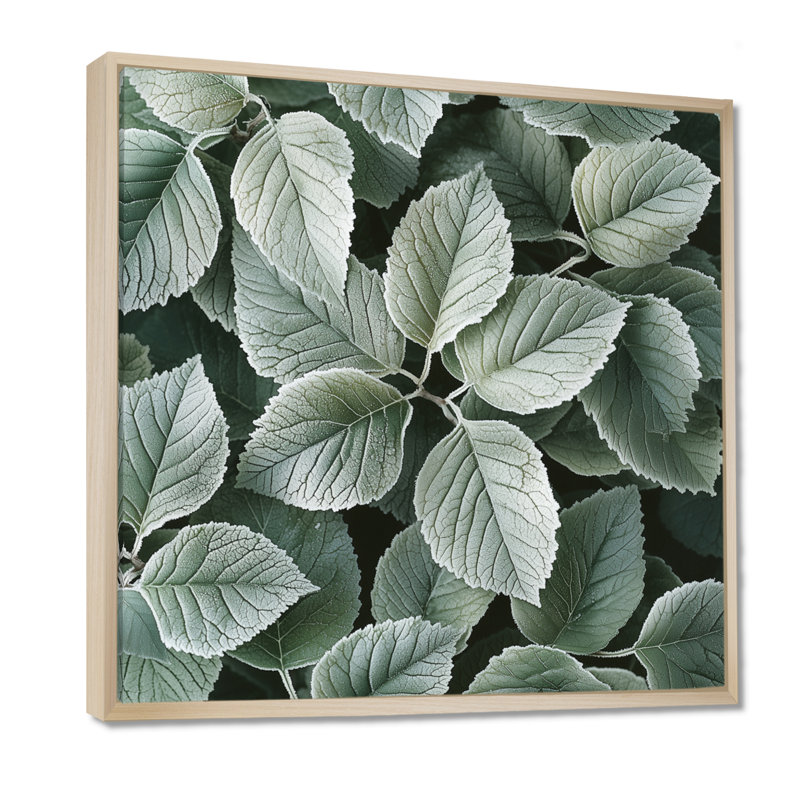 Frosted Leaves II - feuilles, art mural, Impression encadrée flottante, Crème, crème, H 16 po x l 16 po