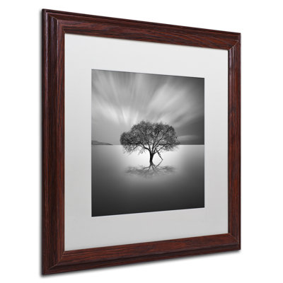 Moises Levy - Single Picture Frame Photograph