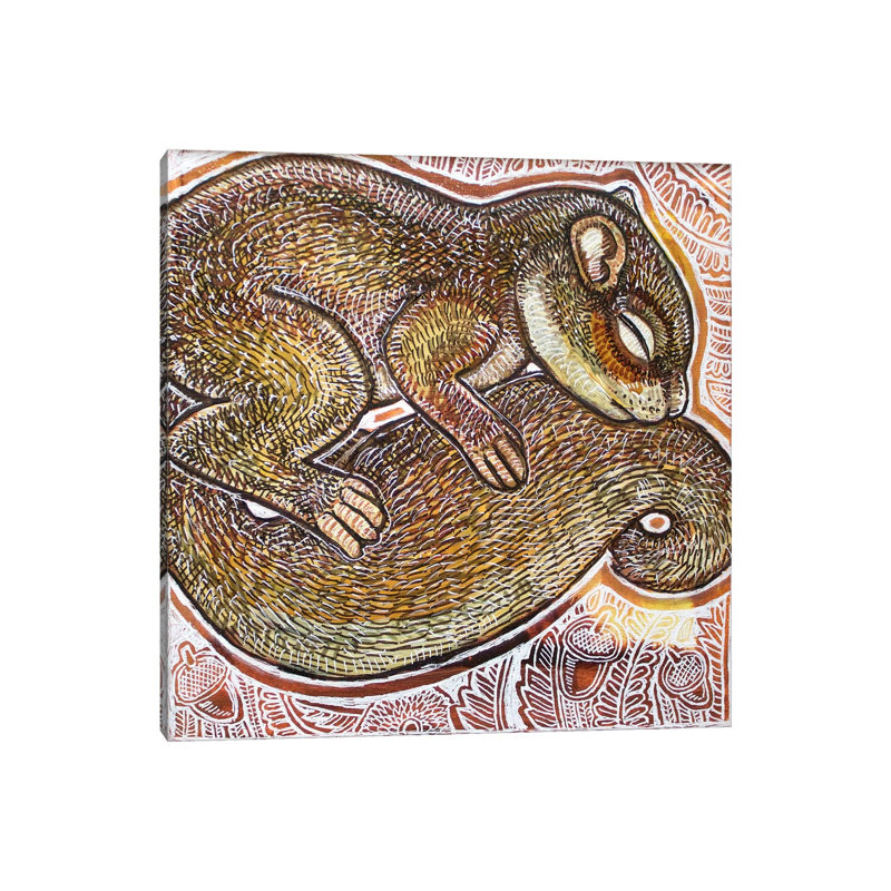 Dreaming Squirrel by Lynnette Shelley - Wrapped Canvas Print, 30.48 cm H x 30.48 cm W