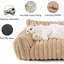 Canapé mignon 17 pouces pour animaux-831795279