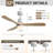 Kemp 52" W LED Standard Ceiling Fan-2002657248