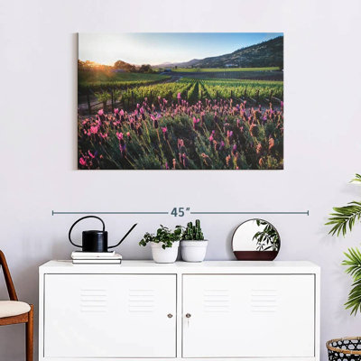 Alvord Napa Valley Grapevines And Flowers
