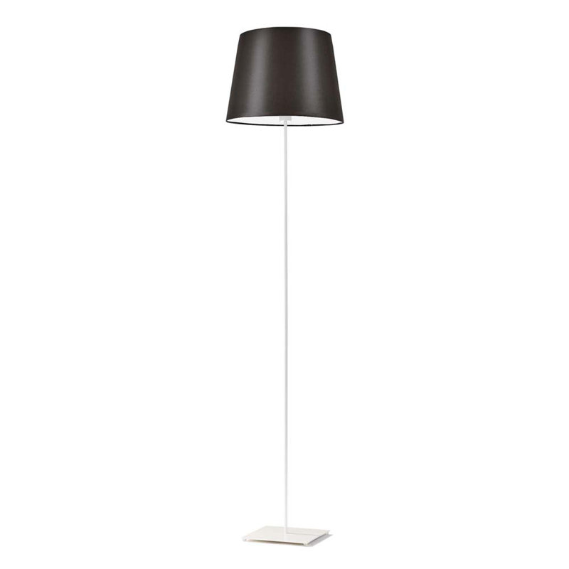 Asauni 162.5cm Traditional Floor Lamp, Brown, White