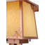 Stillwater Dragonfly 1 - Light Lantern Head