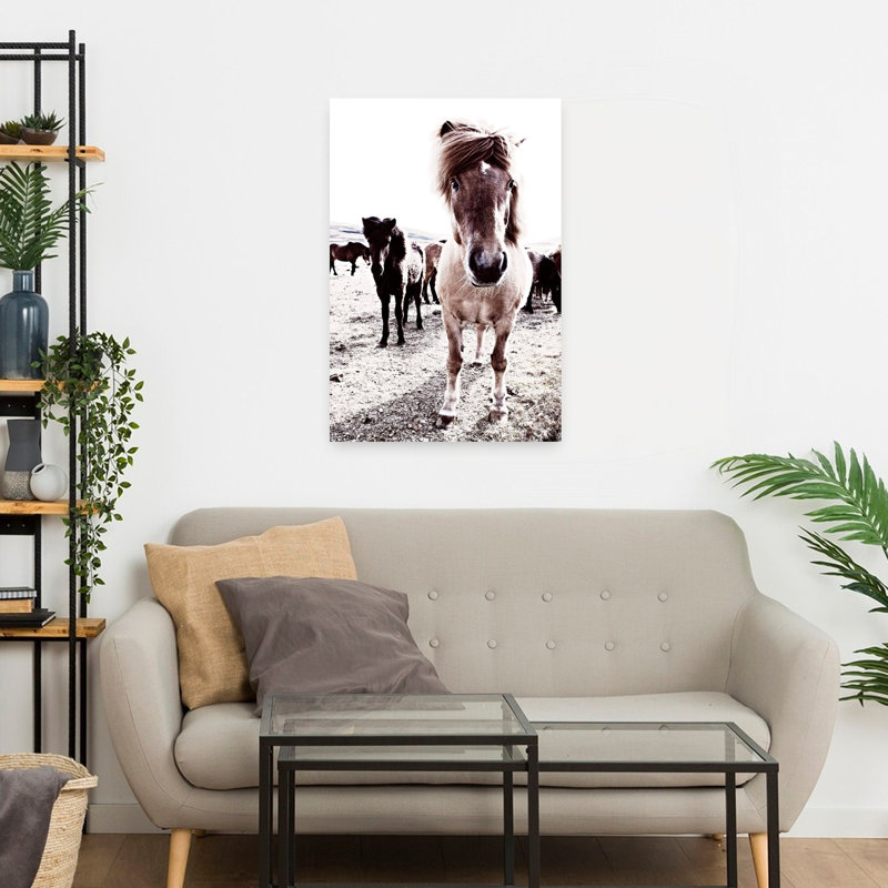 Islande, cheval, Rikka, art contemporain abstrait, paysage de cheval