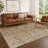 Machine Washable Indoor/Outdoor Hashlamoun ACN2324 Ikat Rug-165547024