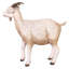 Statue de jardin Billy Goat