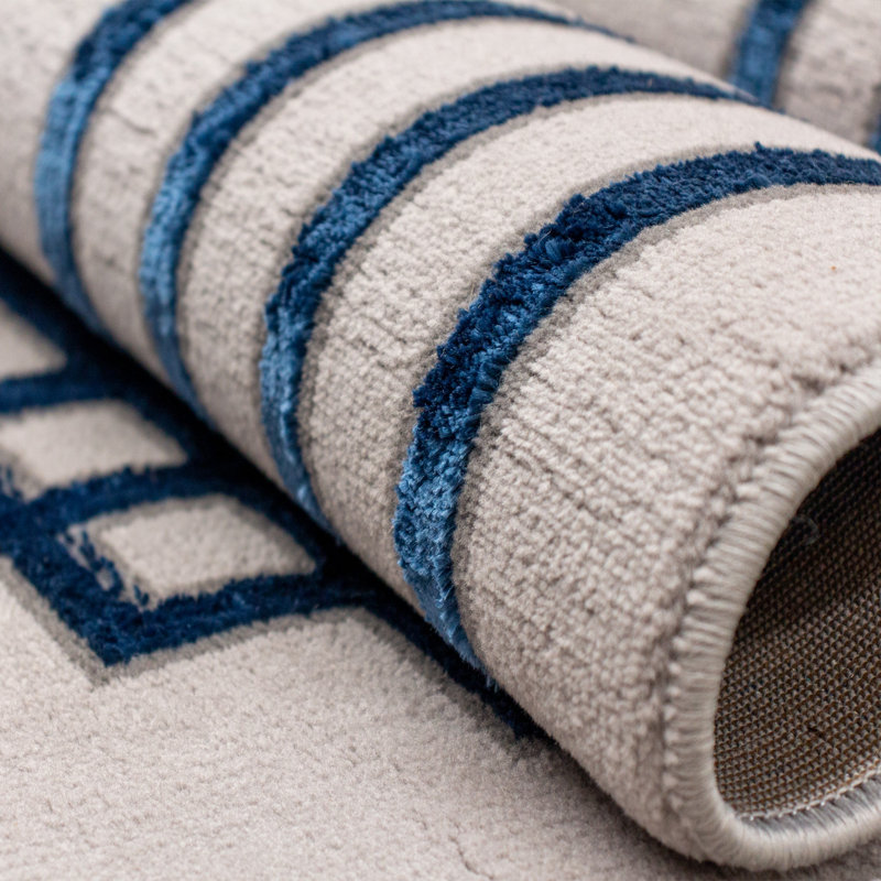 Luxurious Area Rug, 100% Polyester, 59 x 90.6 Inches | Soft Pile Height: 0.4 Inches, 2200 g/m² | Stylish Anthracite & Blue Design | Easy to Clean, Vacuum Friendly, Perfect for Living Room & Bedroom Décor