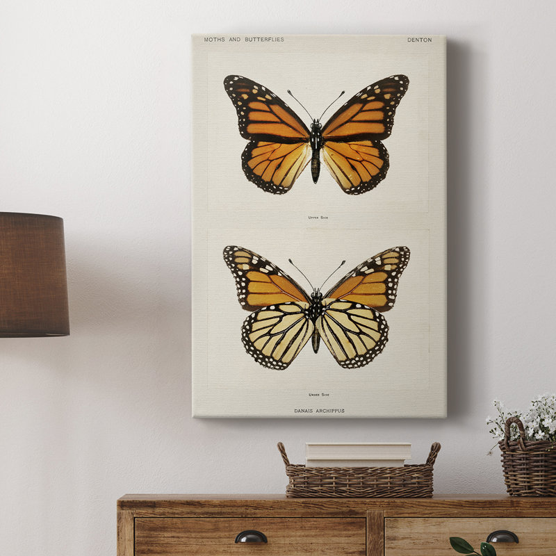 Reproduction animalière rétro XXII - galerie Cavas, H 60 po x l 40 po