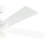 Lija 52'' Ceiling Fan with LED Lights-1542027792