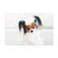 «Cute Papillon Bath», art mural-170590898