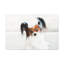 Wall Art on Canvas-343669697