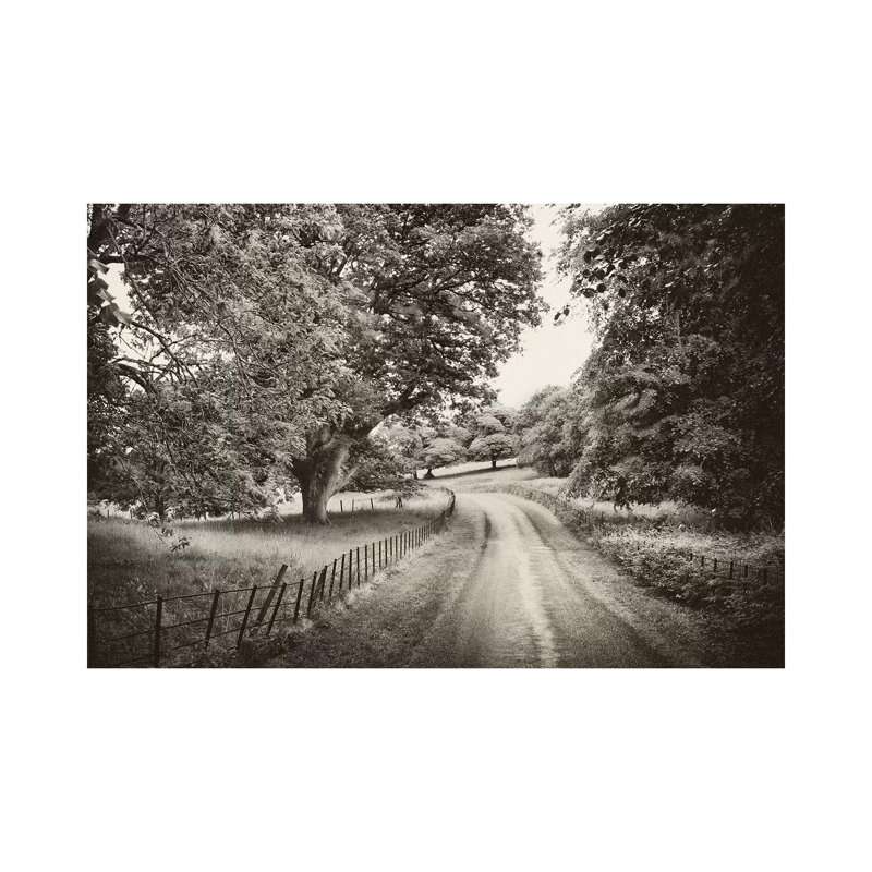 Country Roads by Janel Pahl - Wrapped Canvas Print, 66.04 cm H x 45.72 cm W x 3.175 cm D