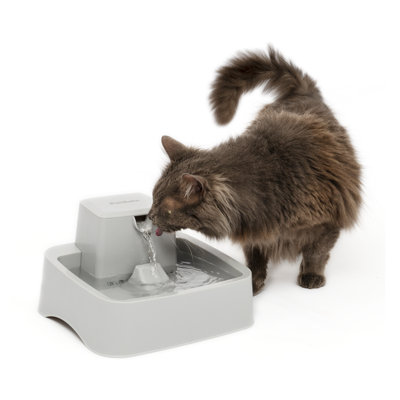 PetSafe Oasys 1/2 Gallon Pet Fountain