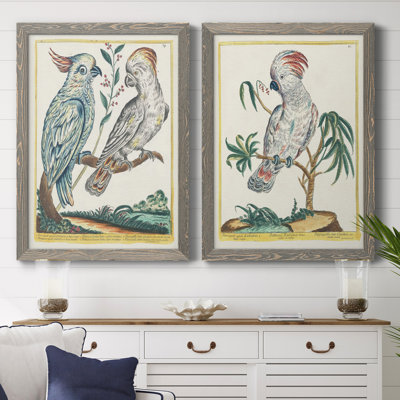 «Pastel Birds I», toile encadrée de qualité supérieure - prête à être accrochée