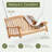 Cortlin Teak Porch Swing