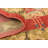 Moore Ikat Indoor Rug-1400357873