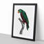 Red-Billed Parrot by F. Levaillant - Picture Frame Painting Print-55598538-55598539