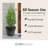 Tierra Verde Baritone Planter, Indoor Outdoor Self Watering Pot-855569082