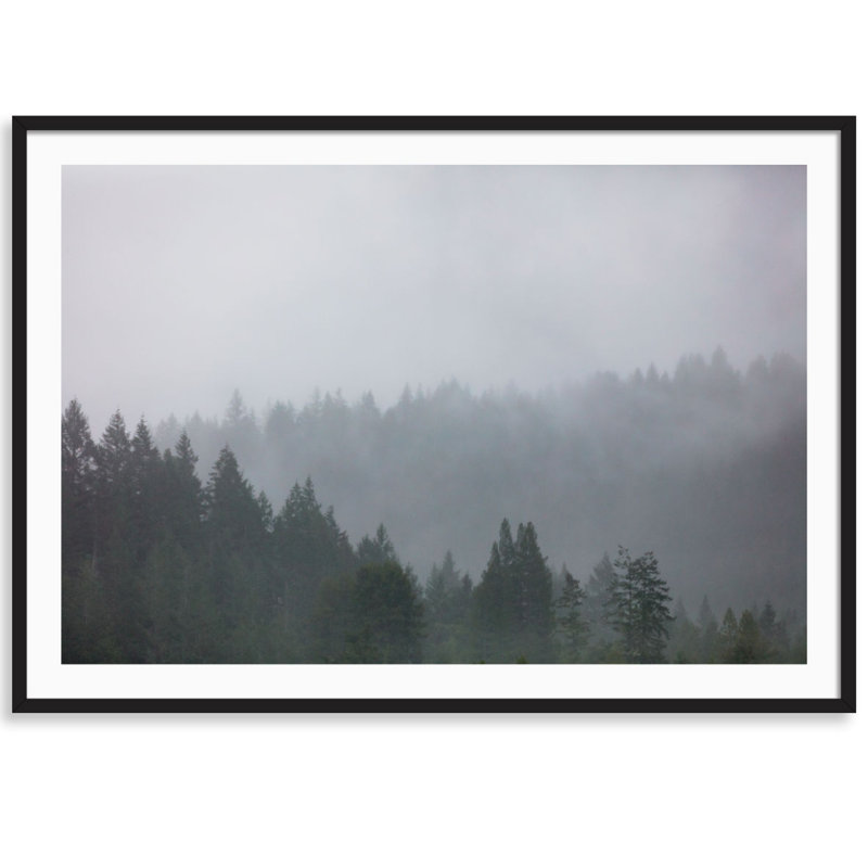 Redwoods In The Fog Print by Carly Tabak, Black Wood, 25" W x 18" H