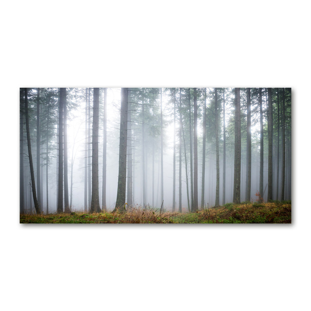 Nebel im Wald - Kunstdrucke auf Leinwand - Wrapped Canvas