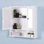 Armoire de salle de bain avec miroir