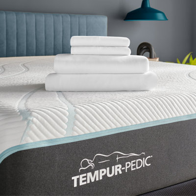 Tempur-Rayon from Bamboo Sheet Set