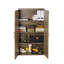 Wines Office Storage Cupboard, 2 Door Lockable 3 -Shelf Storage Cabinet-116864529