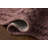 Rifle Paper Company x Loloi Lisette  Area Rug-126258173-129439534