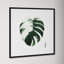 Variegated Monstera II by Grace Popp-2104103204-2104103205