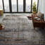 Hemet Oriental Area Rug in Gray-1522995847
