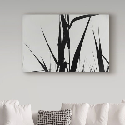 Molloy 'Shapes Black On White' Photographic Print on Wrapped Canvas