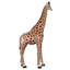 Girafe 12 pi