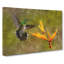 Hummingbird By A Flower - Wrapped Canvas-56630555