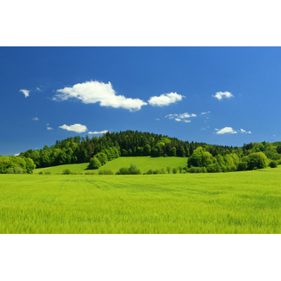 Summer Landscape by Kellyisp - Wrapped Canvas Photograph