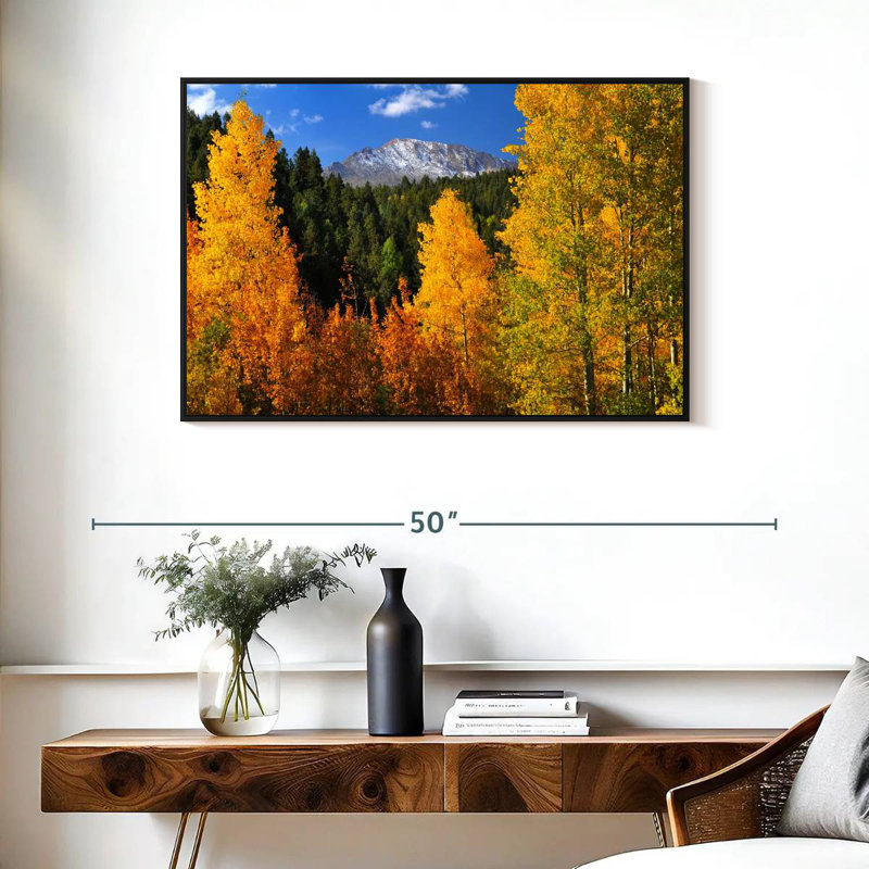 Pikes Peak en automne, Cadre flottant noir, 37 po x 25 po