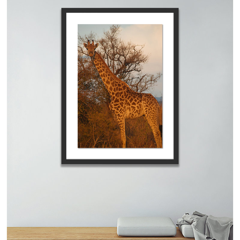 Giraffe 1 by Jade Hammer, Black, 40" H x 29" W x 2.5" D