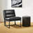 Caylub 28'' Wide Accent Chair Side Chair-2123701259