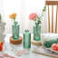 Derick Glass Table Vase-1577926660