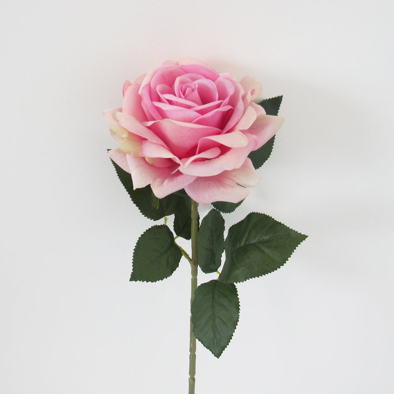 Grandes tiges roses en velours, Rosé