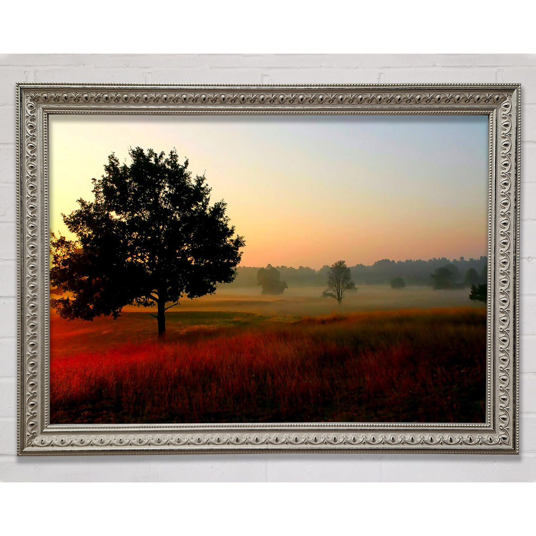 Herbstsonnenaufgang Baum im Nebel - Einzelne Bilderrahmen Kunstdrucke