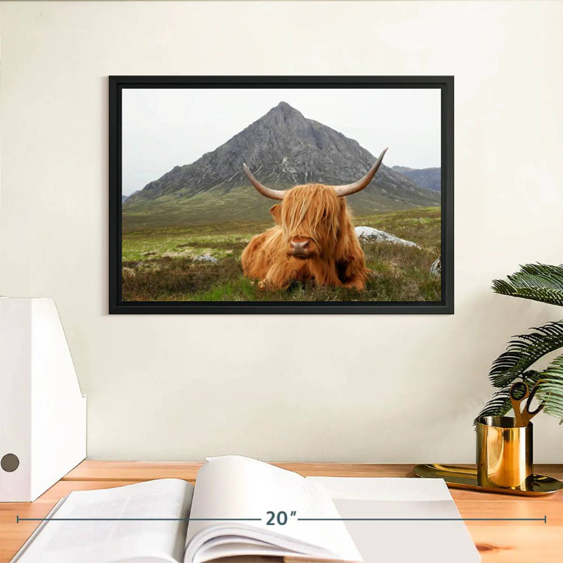 Highland Cow Serenity, Cadre flottant noir, 31 po x 21 po