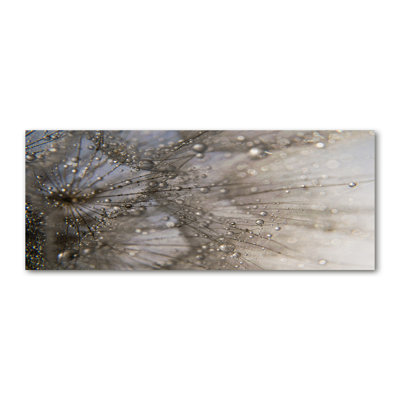 Dandelion Seeds - Wrapped Canvas Print
