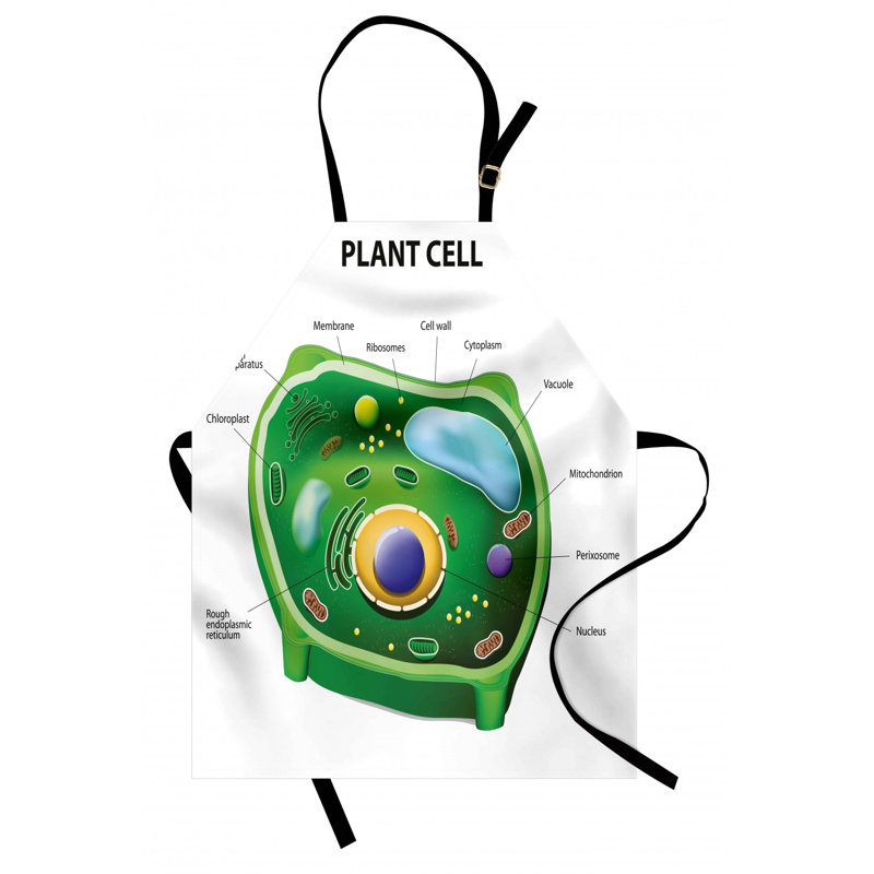 Tablier éducatif